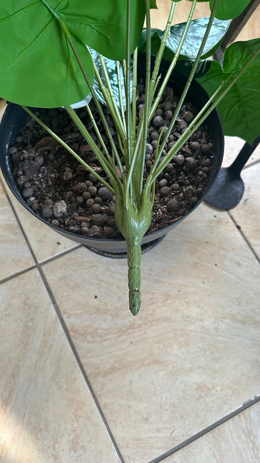 Philodendron Panaché Artificiel