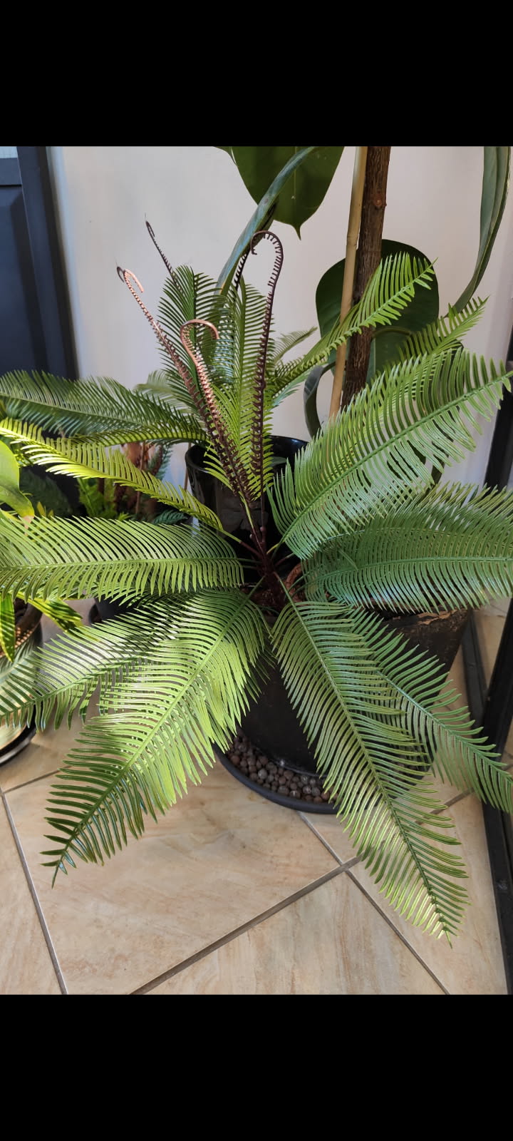 Palmier Cycas Artificiel – Exotisme Chic