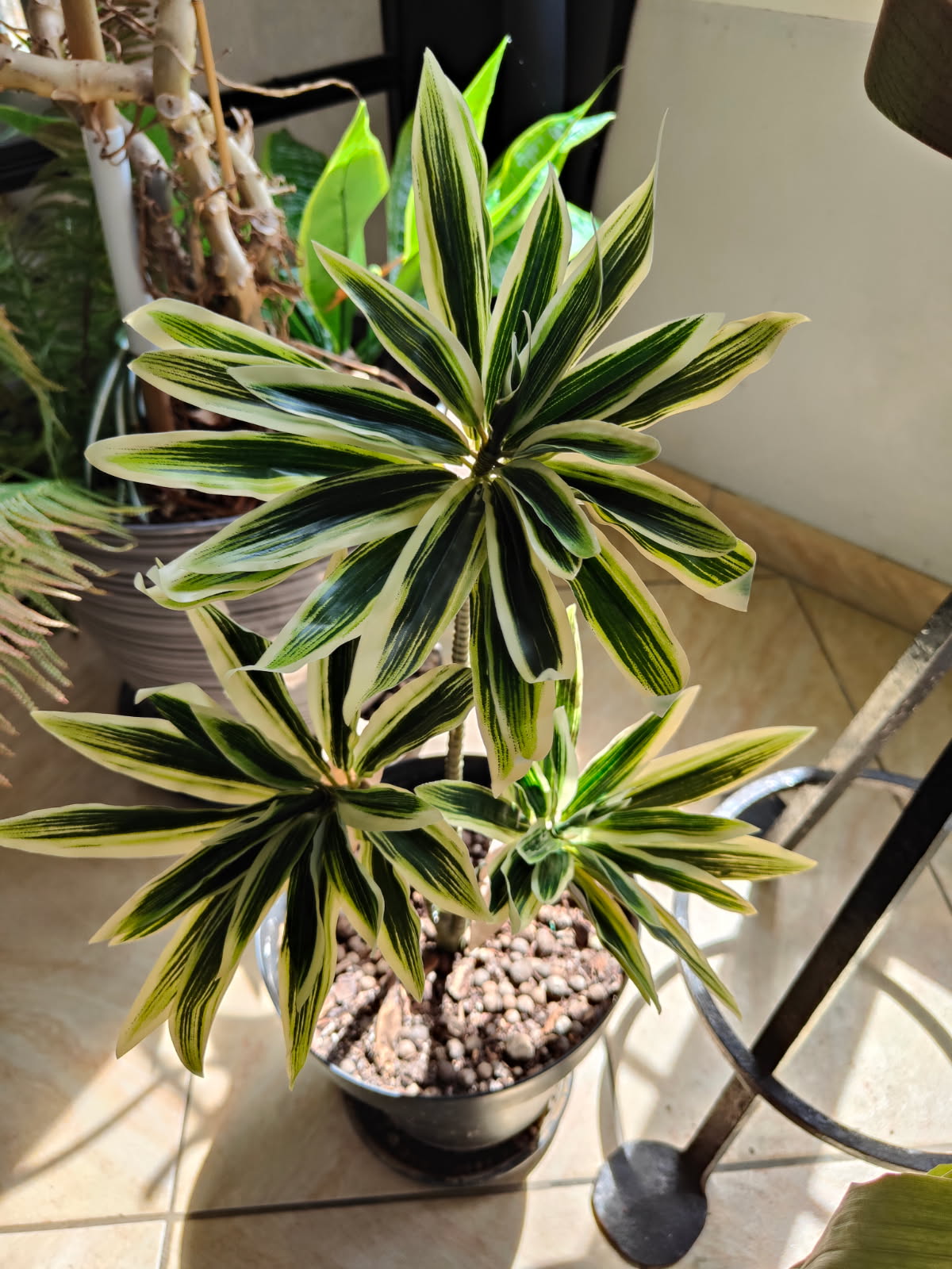 PLANTE ARTIFICIELLE DRACAENA VERTE CLAIRE