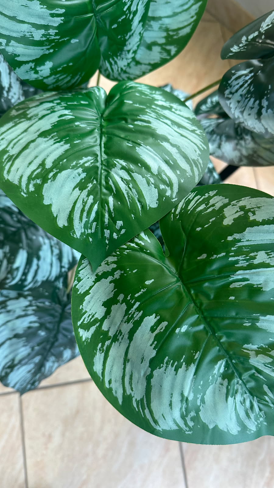 Philodendron Panaché Artificiel
