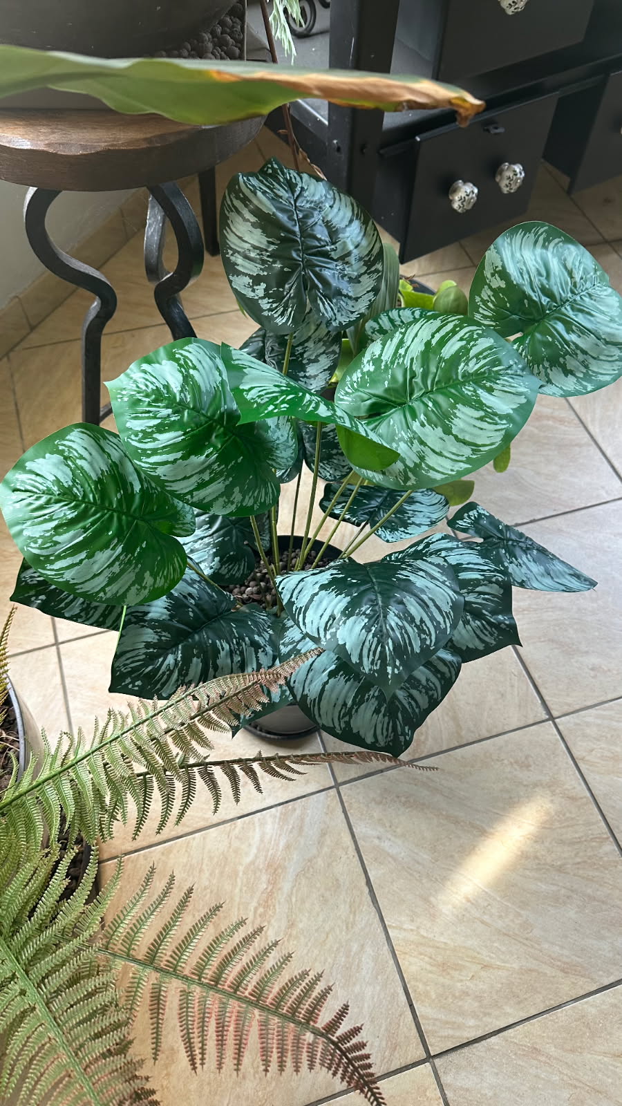 Philodendron Panaché Artificiel