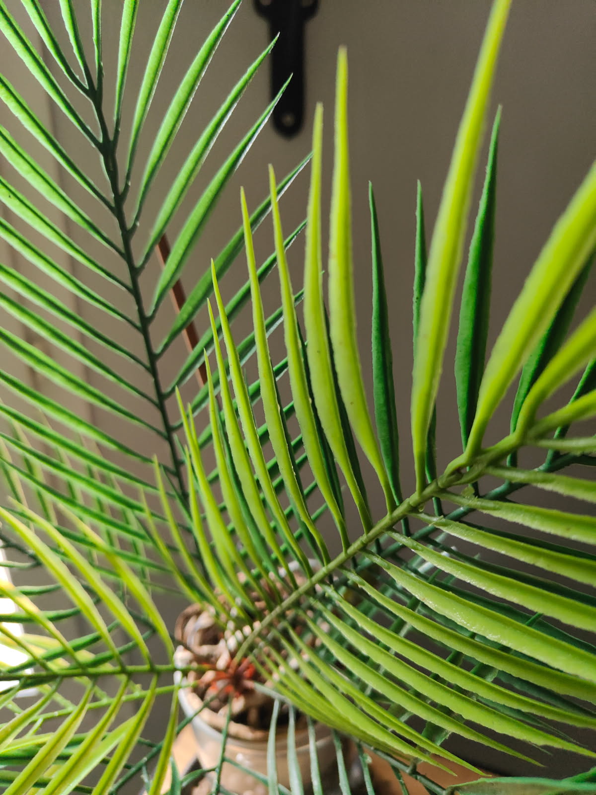 Lytocaryum Artificiel – Élégance Tropicale au Format Compact (50 cm)