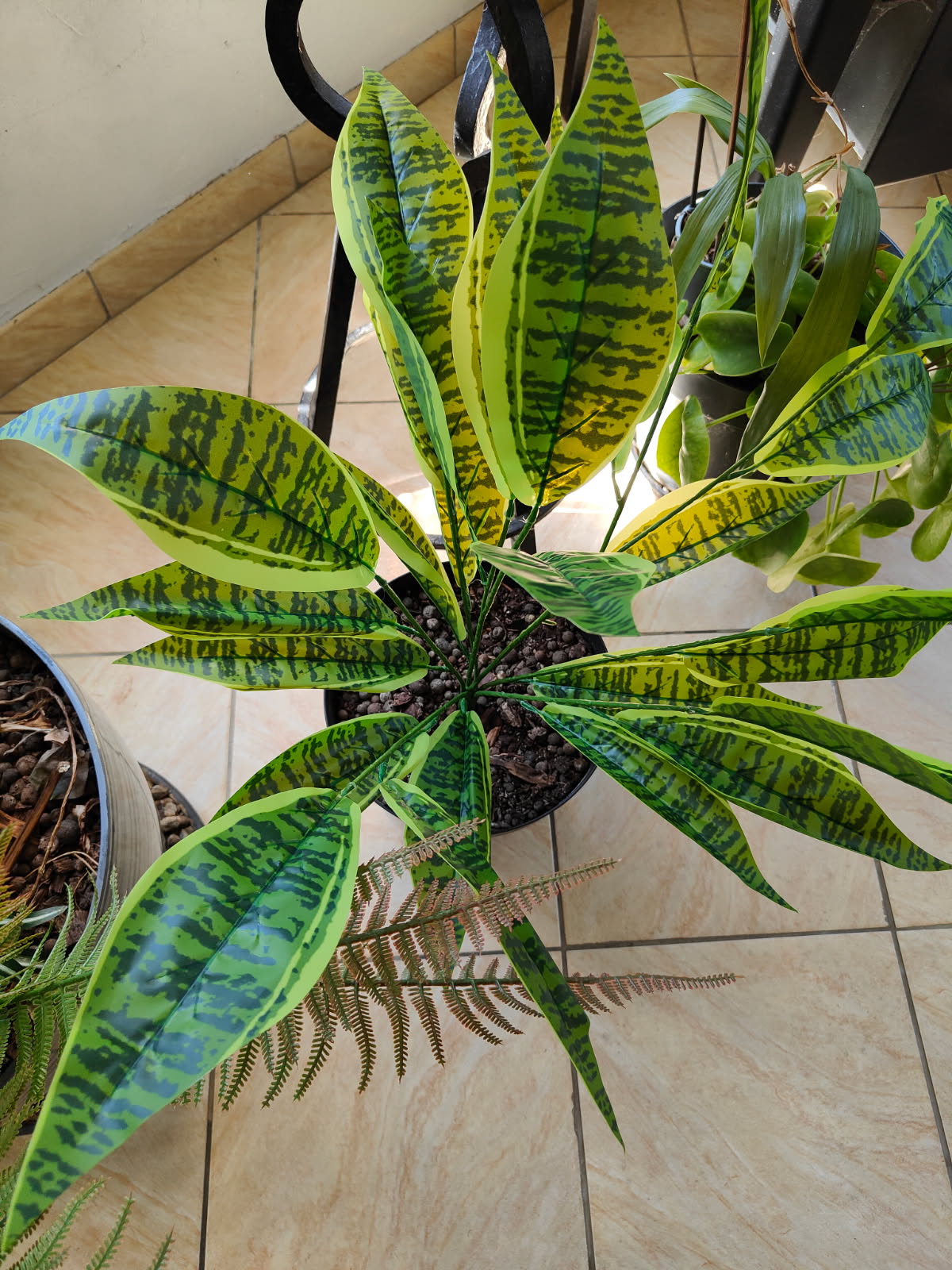 PLANTE ARTIFICIELLE DIEFFENBACHIA