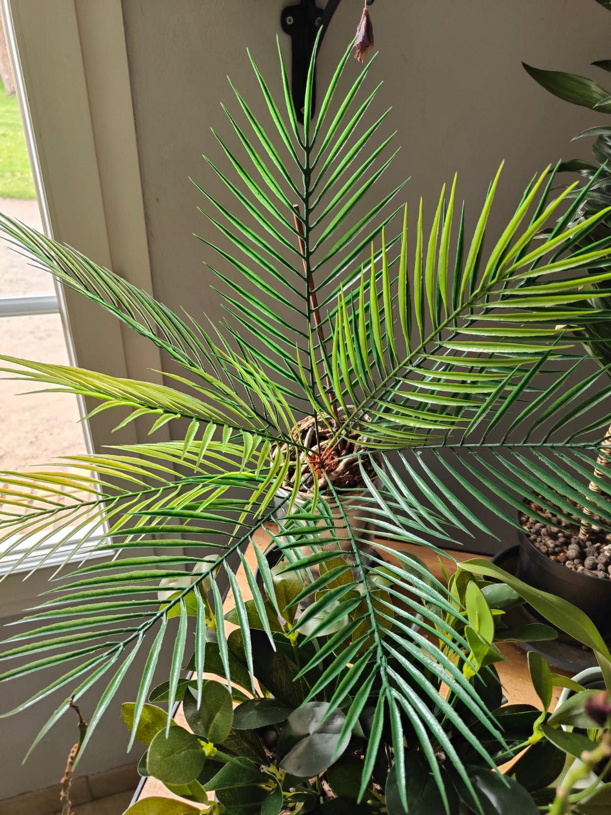 Lytocaryum Artificiel – Élégance Tropicale au Format Compact (50 cm)