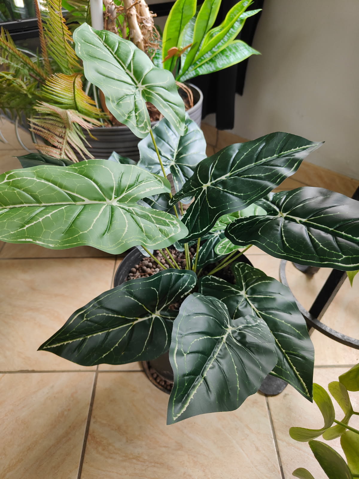 PLANTE ARTIFICIELLE ALOCASIA