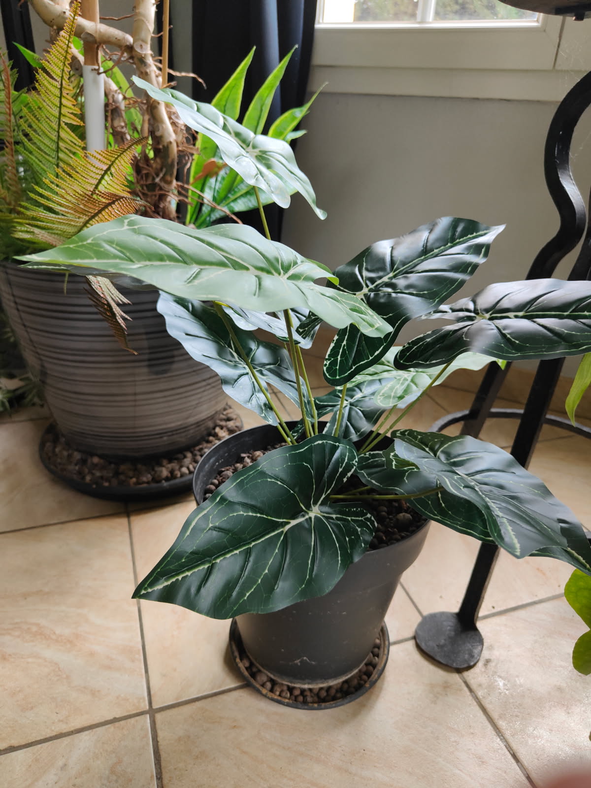 PLANTE ARTIFICIELLE ALOCASIA