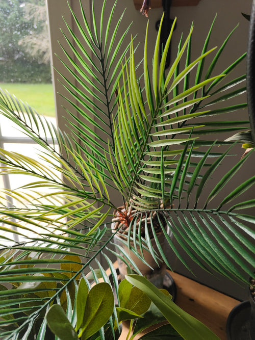 Lytocaryum Artificiel – Élégance Tropicale au Format Compact (50 cm)