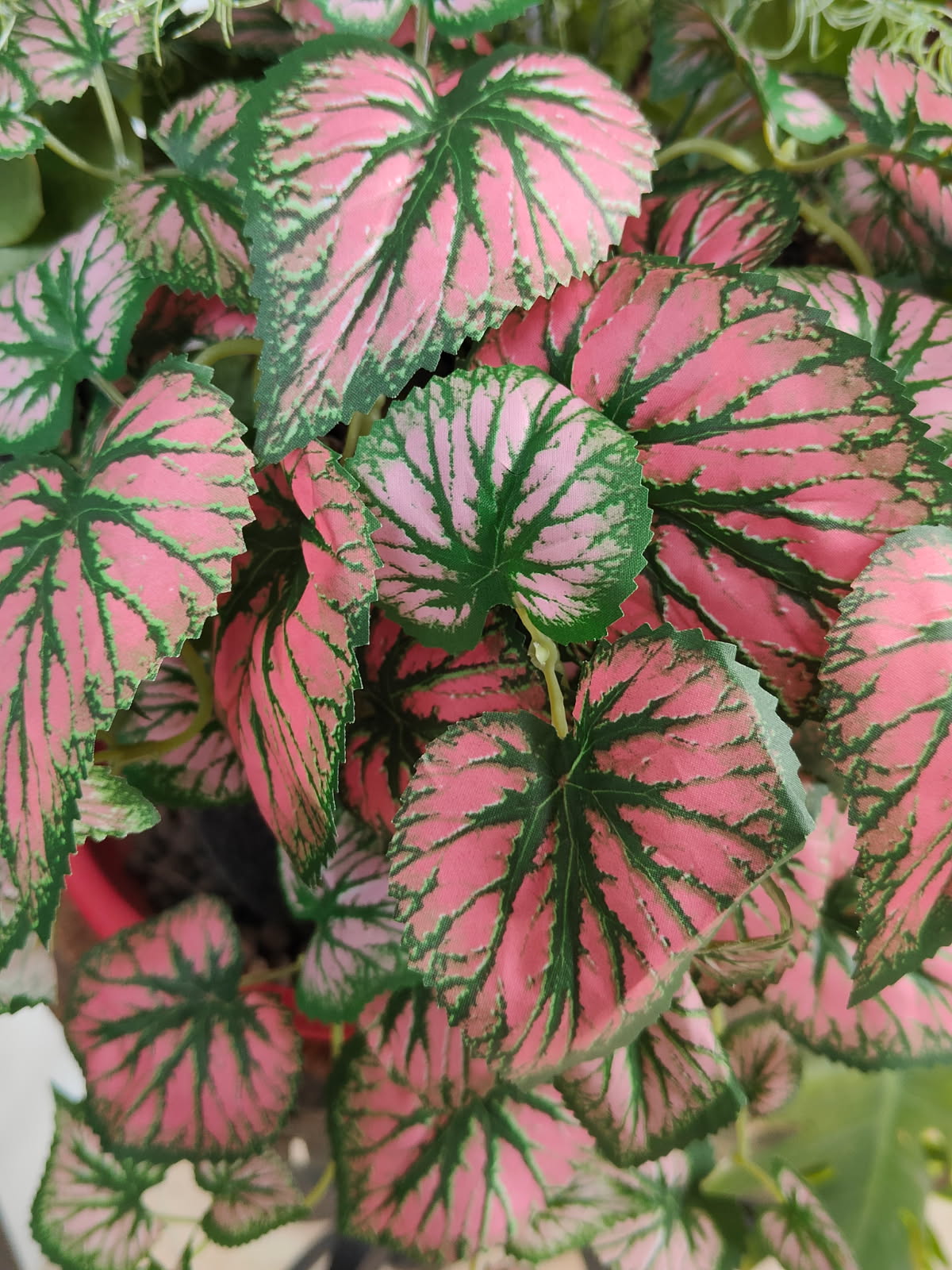 PLANTE ARTIFICIELLE CALADIUM ROSE