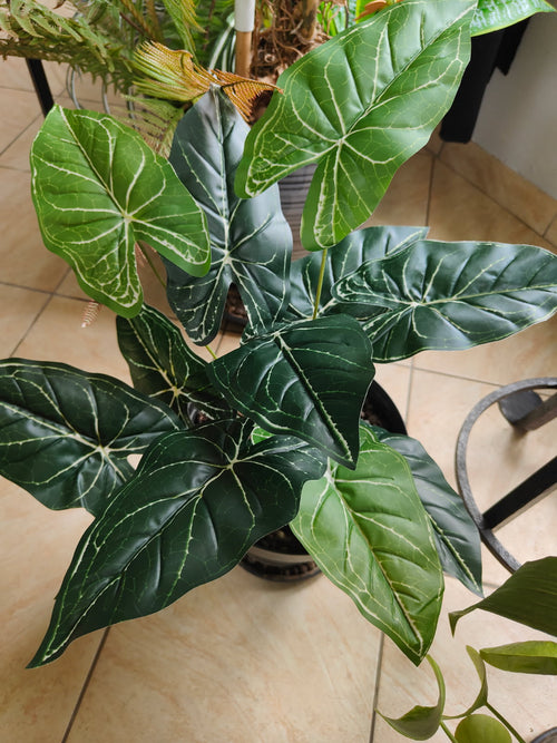 PLANTE ARTIFICIELLE ALOCASIA