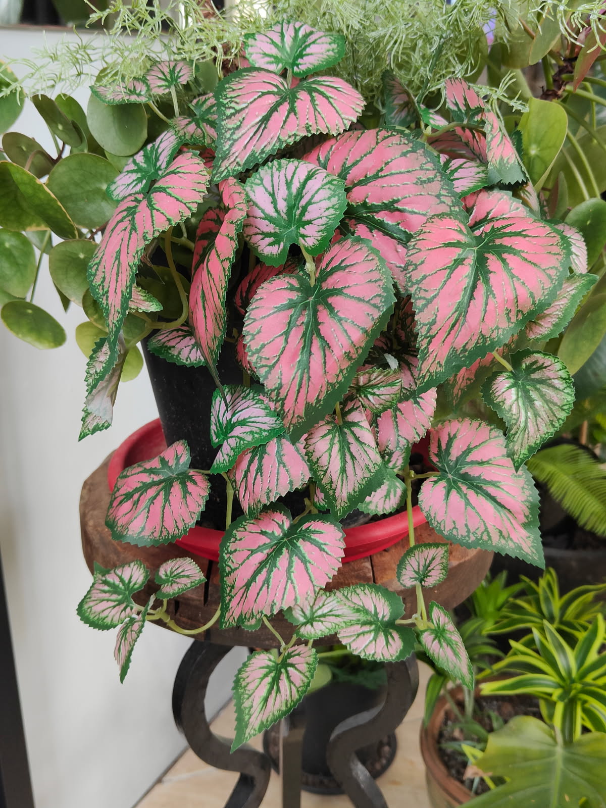 PLANTE ARTIFICIELLE CALADIUM ROSE